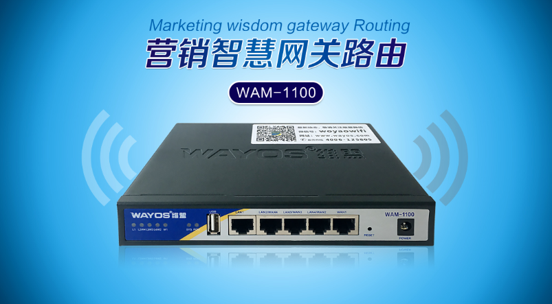 真•硬核 审计性价精选产品 WAM-1100
