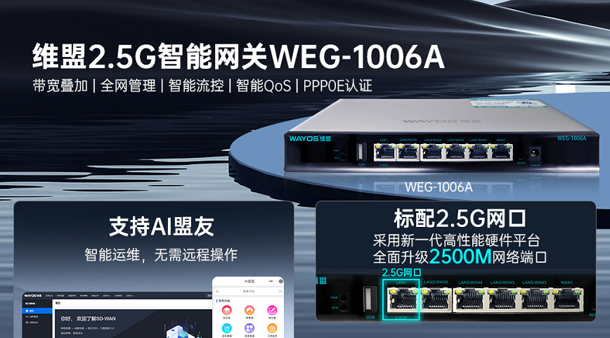 维盟 2.5G网关WEG-1006A,让你的组网更稳定，效率更高！