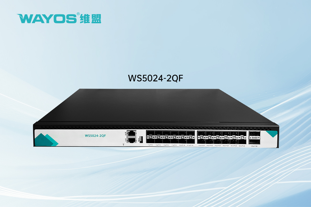 WS5024-2QF  24口全万兆交换机