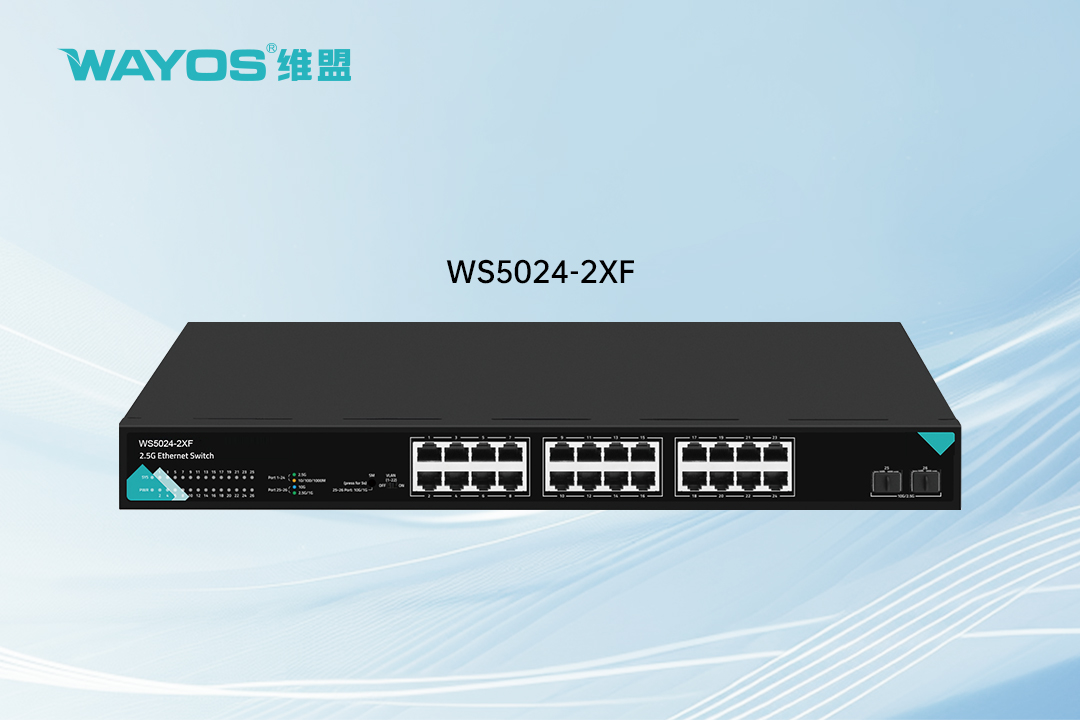 WS5024-2XF  24口2.5G交换机