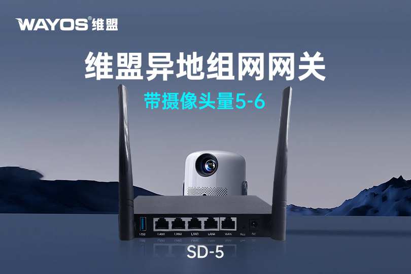 SD-5维盟异地组网网关