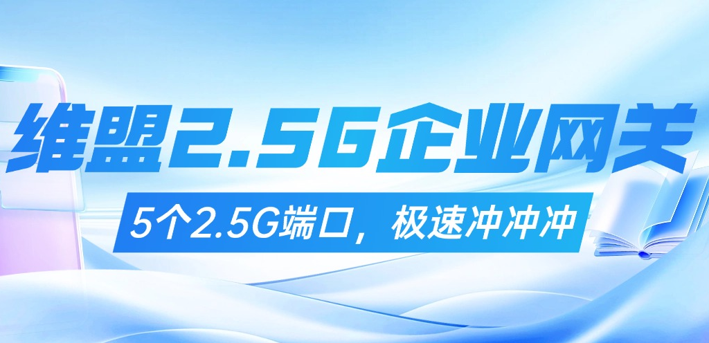 维盟 2.5G 企业网关：5 口满速传，网络快到飞